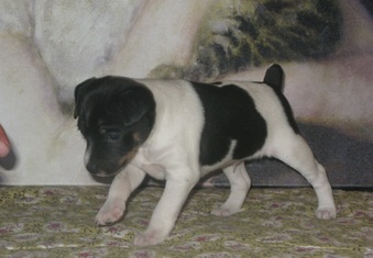 Enlarge photo 6