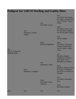Enlarge HTML Document 2