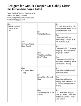 Enlarge HTML Document 2