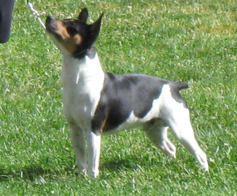 Enlarge photo 28
