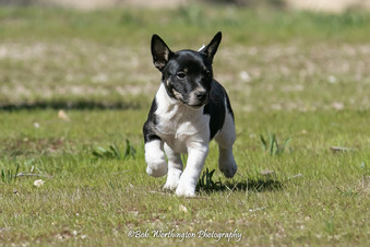 Enlarge photo 20
