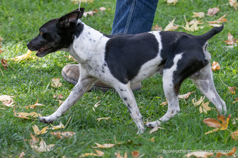 Enlarge photo 42