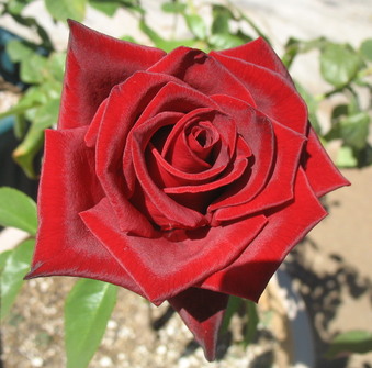 Enlarge photo 22