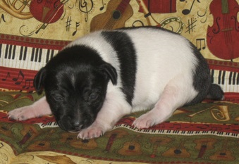 Enlarge photo 12
