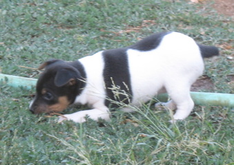 Enlarge photo 8