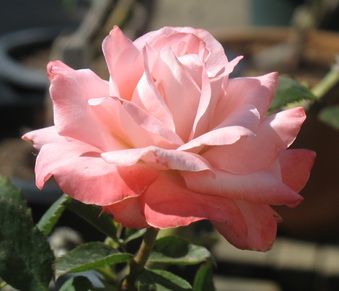 Enlarge photo 7