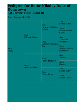 Enlarge HTML Document 4