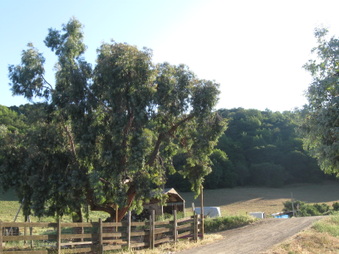 Enlarge photo 17