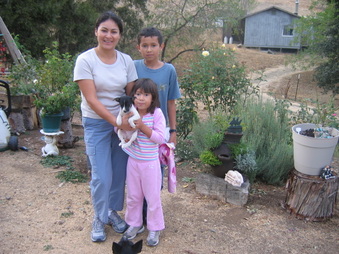 Enlarge photo 7