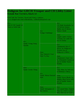 Enlarge HTML Document 2