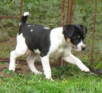 Enlarge photo 9