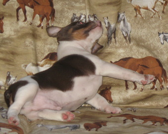 Enlarge photo 12