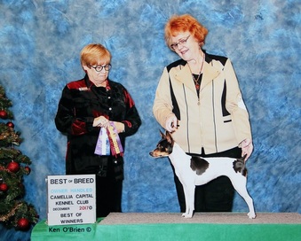 Enlarge photo 41