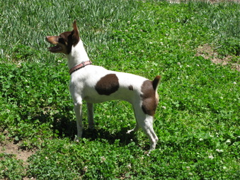 Enlarge photo 48