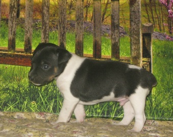 Enlarge photo 20