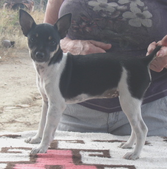 Enlarge photo 9