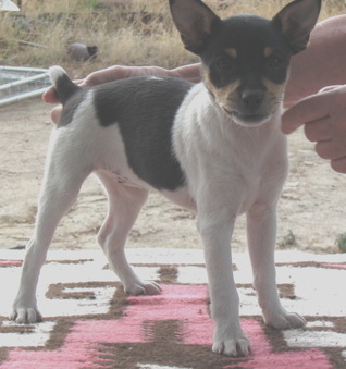 Enlarge photo 13