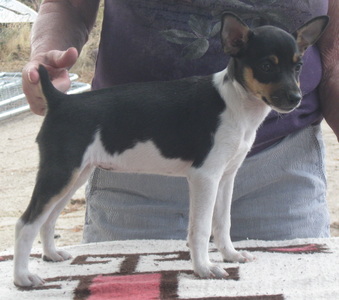 Enlarge photo 16