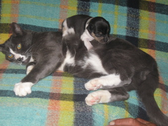 Enlarge photo 23