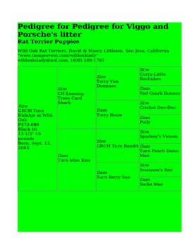 Enlarge HTML Document 2