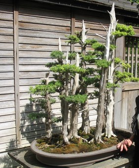 Enlarge photo 12