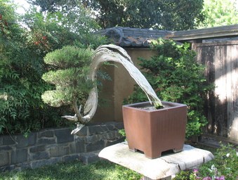 Enlarge photo 7