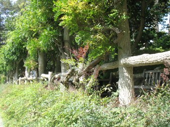 Enlarge photo 26