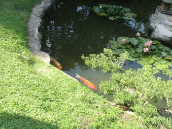 Enlarge photo 20