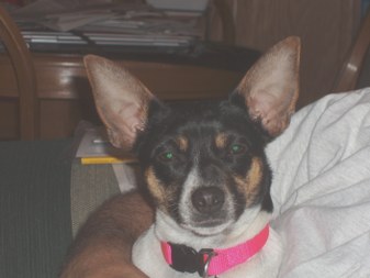 Enlarge photo 9