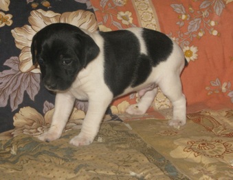 Enlarge photo 15