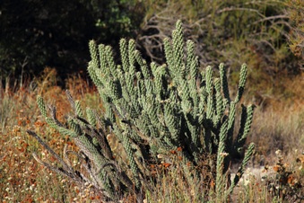 Enlarge photo 4