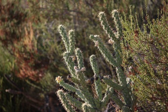 Enlarge photo 20