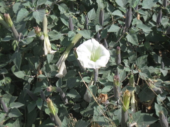 Enlarge photo 18
