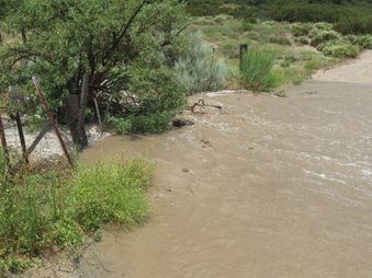 Enlarge photo 10