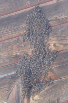 Enlarge photo 18