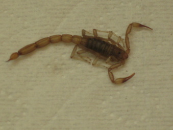 Enlarge photo 23