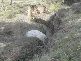 Enlarge photo 12