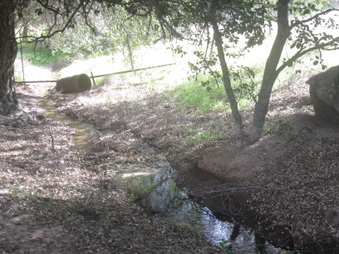 Enlarge photo 16