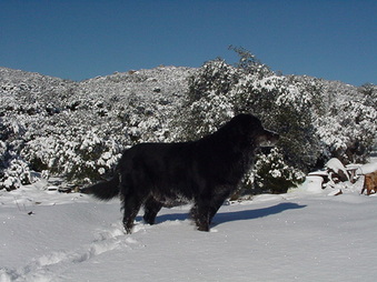 Enlarge photo 20