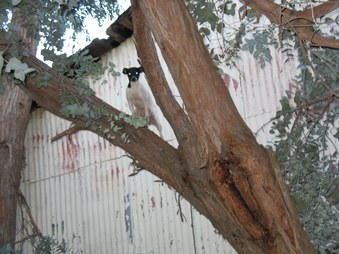 Enlarge photo 22