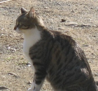 Enlarge photo 15