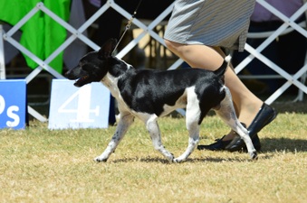 Enlarge photo 8
