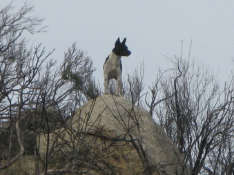 Enlarge photo 29