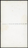 Enlarge photo 298