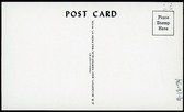 Enlarge photo 372