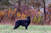 Enlarge photo 10