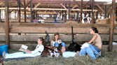 Enlarge photo 5
