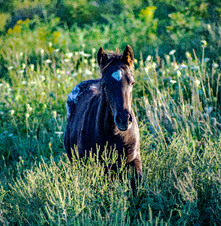 Enlarge photo 94