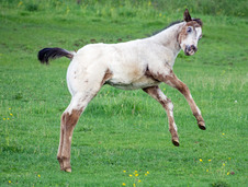 Enlarge photo 102