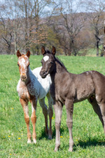 Enlarge photo 34
